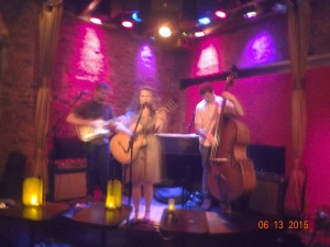 Bridget Davis and the Viking Kings