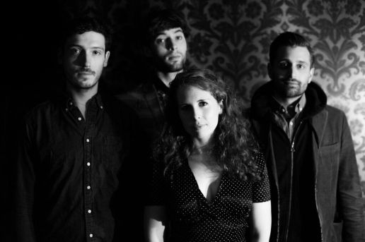 Bridget Davis and the Viking Kings