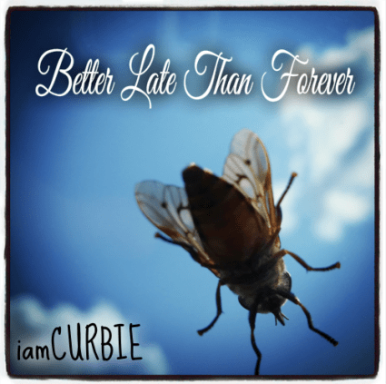 iamCURBIE - Better Late Than Forever album cover