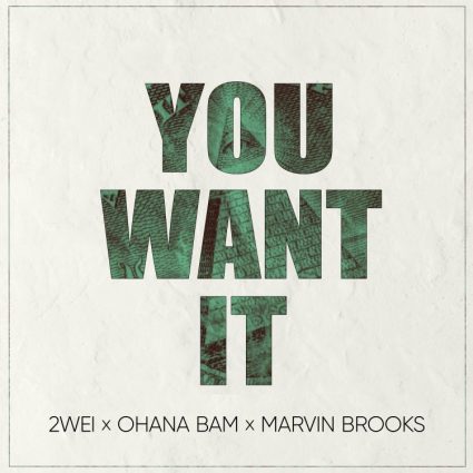 2WEI feat. Marvin Brooks & Ohana Bam - You Want It single
